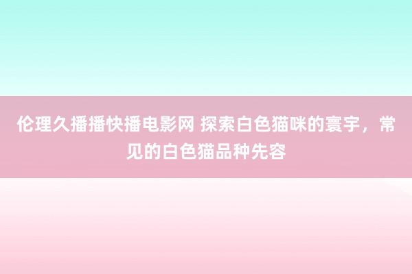 伦理久播播快播电影网 探索白色猫咪的寰宇，常见的白色猫品种先容