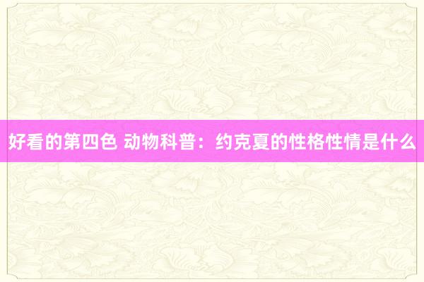 好看的第四色 动物科普：约克夏的性格性情是什么
