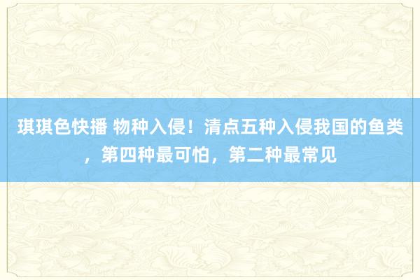 琪琪色快播 物种入侵！清点五种入侵我国的鱼类，第四种最可怕，第二种最常见