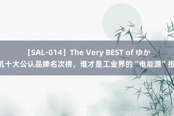 【SAL-014】The Very BEST of ゆか 电机十大公认品牌名次榜，谁才是工业界的“电能源”担当？