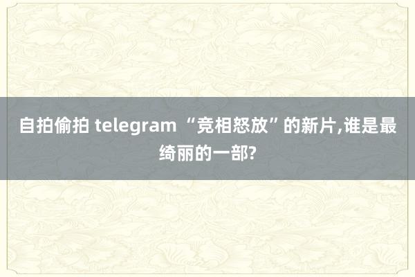自拍偷拍 telegram “竞相怒放”的新片,谁是最绮丽的一部?