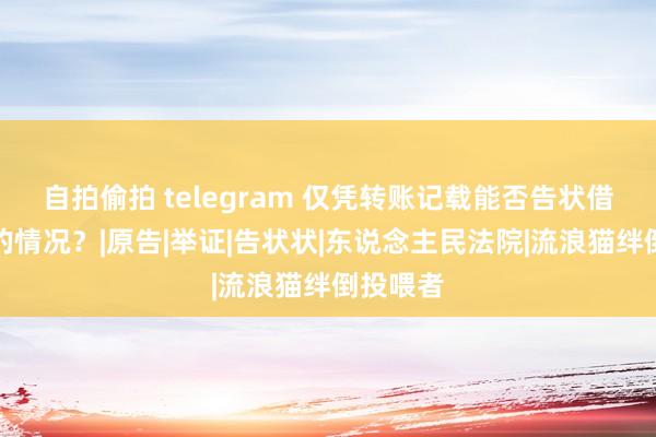 自拍偷拍 telegram 仅凭转账记载能否告状借债不还的情况？|原告|举证|告状状|东说念主民法院|流浪猫绊倒投喂者