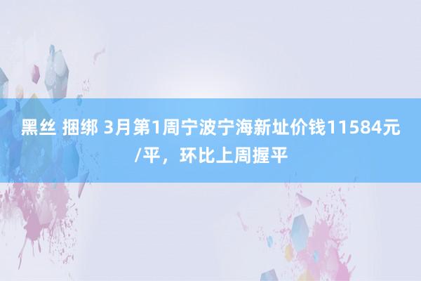黑丝 捆绑 3月第1周宁波宁海新址价钱11584元/平，环比上周握平