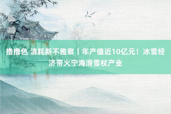 撸撸色 消耗新不雅察丨年产值近10亿元！冰雪经济带火宁海滑雪杖产业