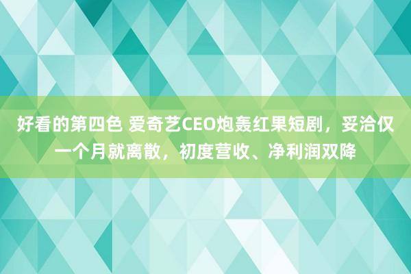 好看的第四色 爱奇艺CEO炮轰红果短剧，妥洽仅一个月就离散，初度营收、净利润双降