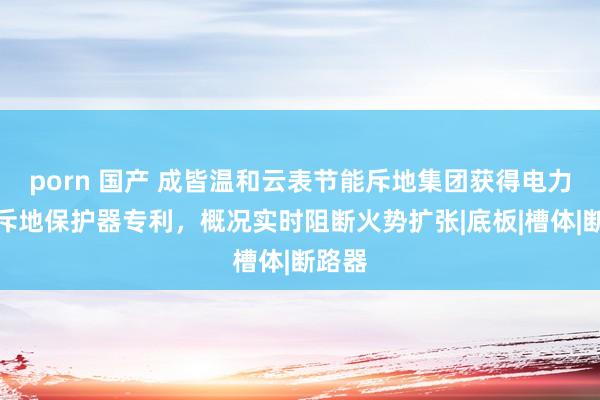 porn 国产 成皆温和云表节能斥地集团获得电力监测斥地保护器专利，概况实时阻断火势扩张|底板|槽体|断路器