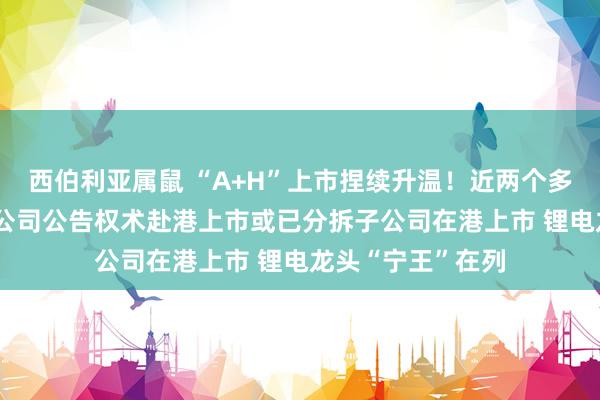 西伯利亚属鼠 “A+H”上市捏续升温！近两个多月14家A股上市公司公告权术赴港上市或已分拆子公司在港上市 锂电龙头“宁王”在列