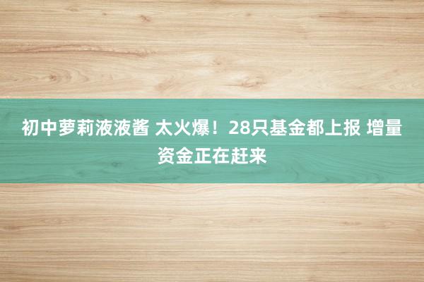 初中萝莉液液酱 太火爆！28只基金都上报 增量资金正在赶来