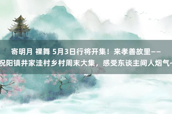 寄明月 裸舞 5月3日行将开集！来孝善故里——祝阳镇井家洼村乡村周末大集，感受东谈主间人烟气~