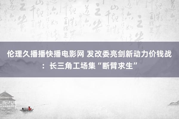 伦理久播播快播电影网 发改委亮剑新动力价钱战：长三角工场集“断臂求生”