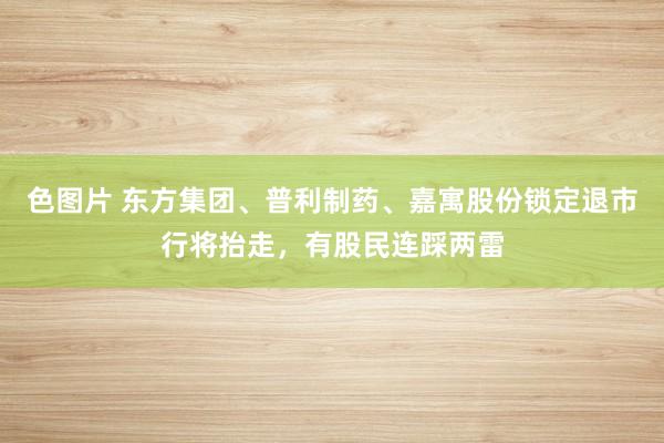 色图片 东方集团、普利制药、嘉寓股份锁定退市行将抬走，有股民连踩两雷