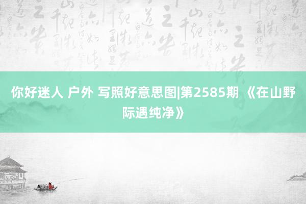 你好迷人 户外 写照好意思图|第2585期 《在山野际遇纯净》