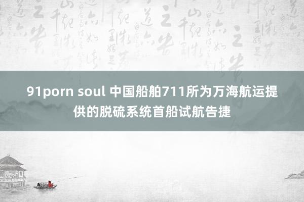 91porn soul 中国船舶711所为万海航运提供的脱硫系统首船试航告捷