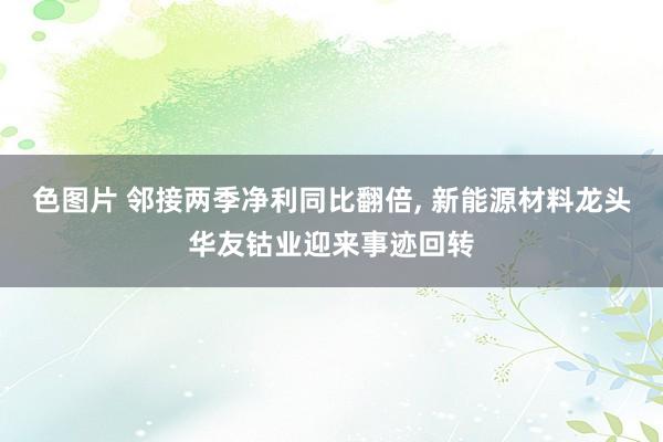 色图片 邻接两季净利同比翻倍， 新能源材料龙头华友钴业迎来事迹回转