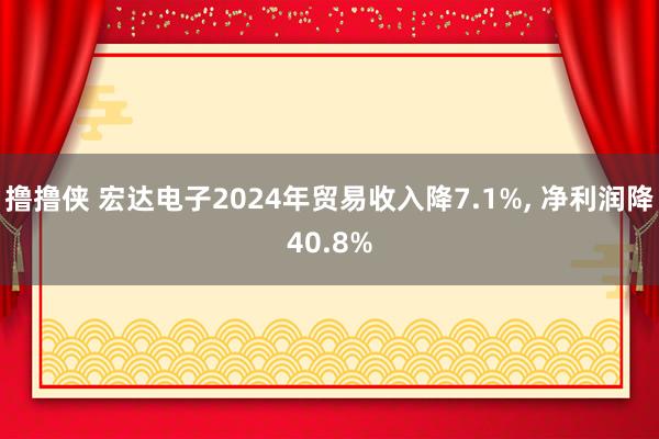 撸撸侠 宏达电子2024年贸易收入降7.1%， 净利润降40.8%