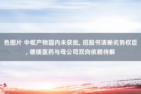 色图片 中枢产物国内未获批， 招股书清晰劣势权臣， 德镁医药与母公司双向依赖待解