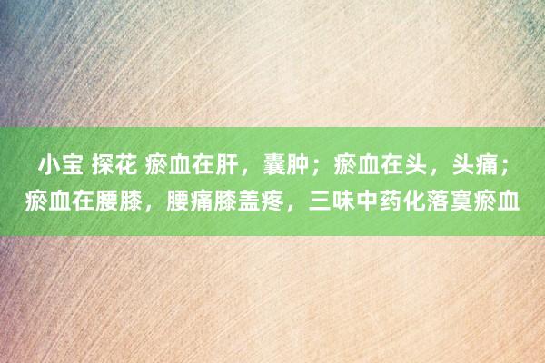 小宝 探花 瘀血在肝,囊肿;瘀血在头,头痛;瘀血在腰膝,腰痛膝盖疼,三味中药化落寞瘀血