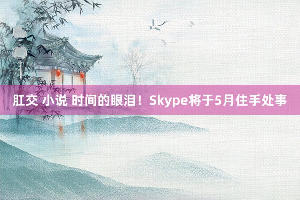 肛交 小说 时间的眼泪！Skype将于5月住手处事