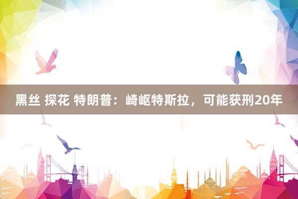 黑丝 探花 特朗普：崎岖特斯拉，可能获刑20年